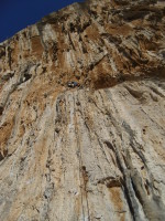 SNV80473.JPG